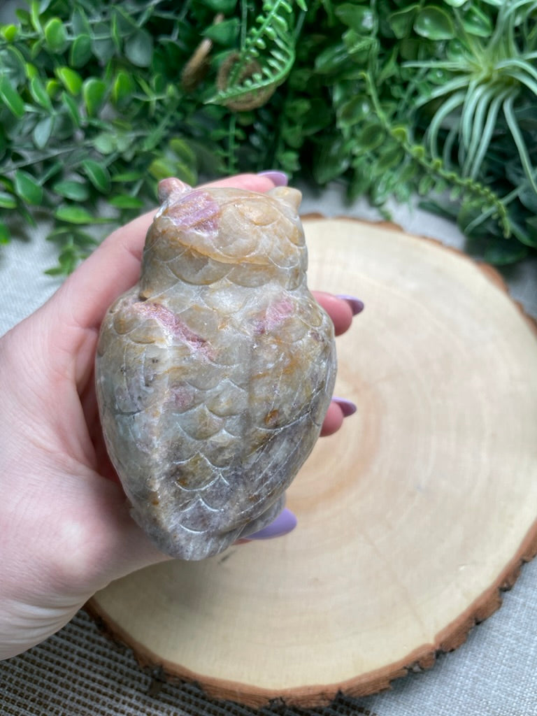 Jasper Owl (chipped)