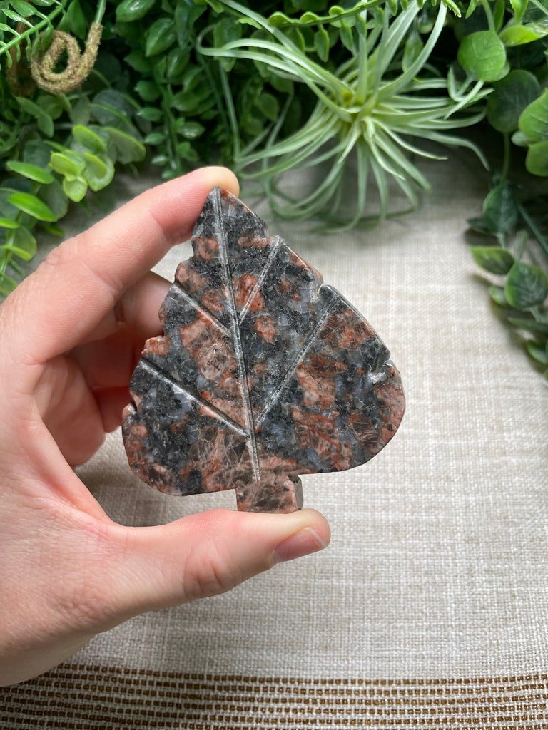 Red Que Sera Leaf