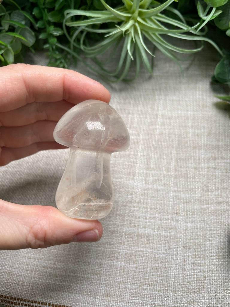 Crystal Mushroom