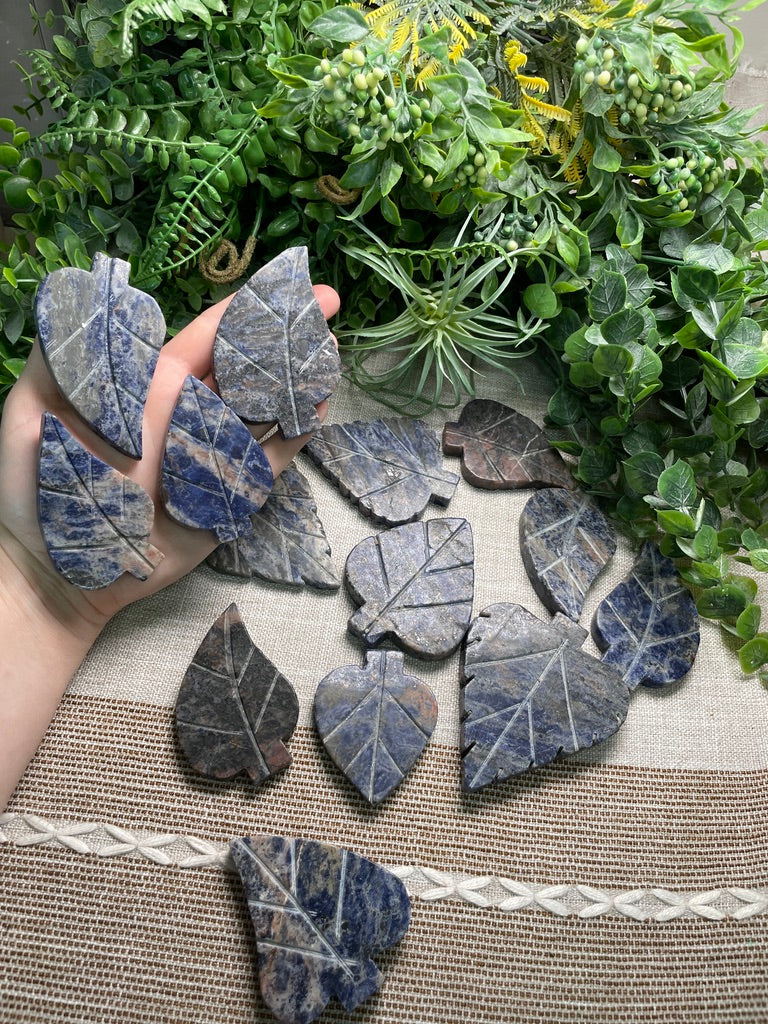 Sodalite Leaf