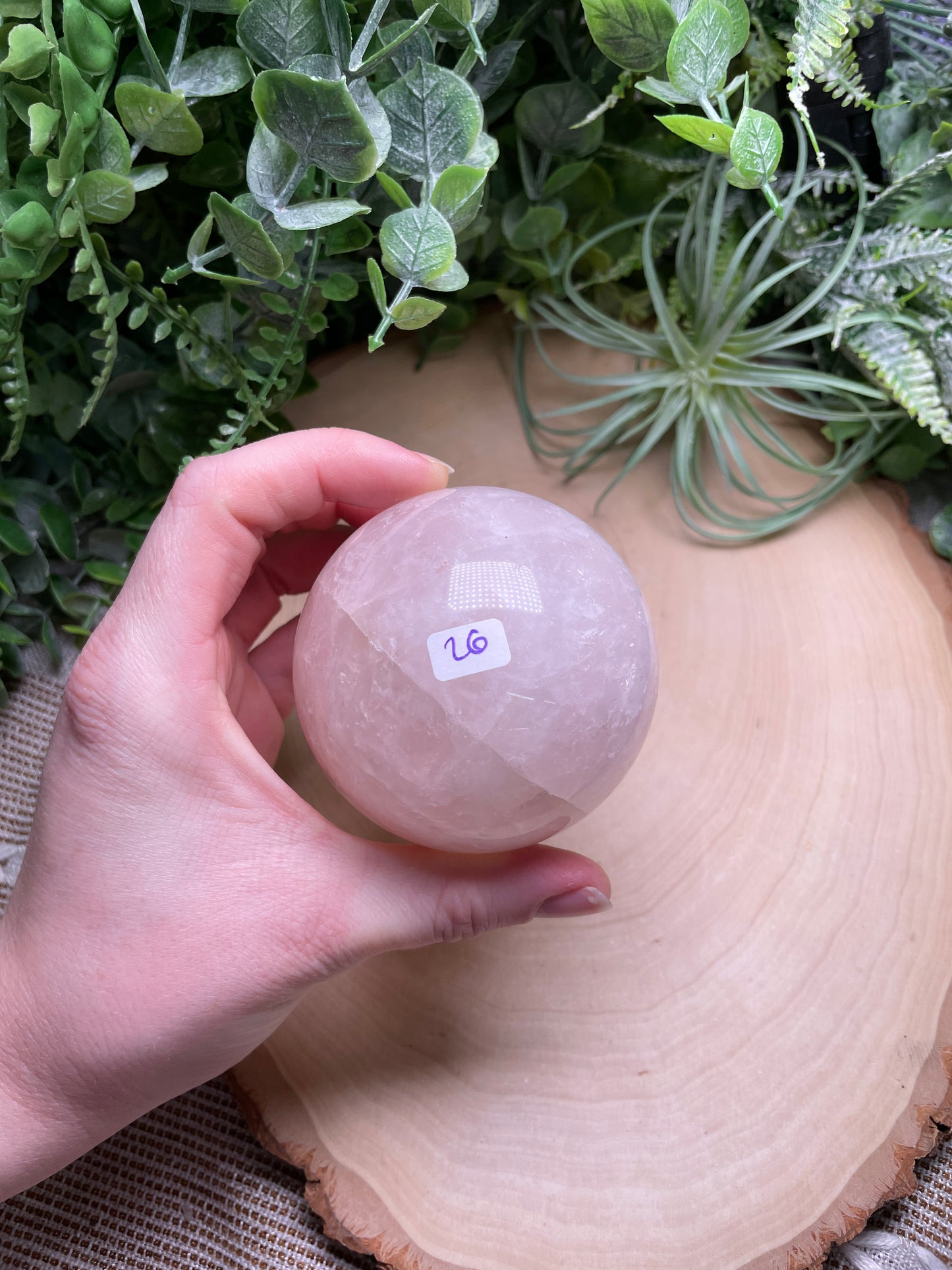 Rose Quartz Sphere (42 available)