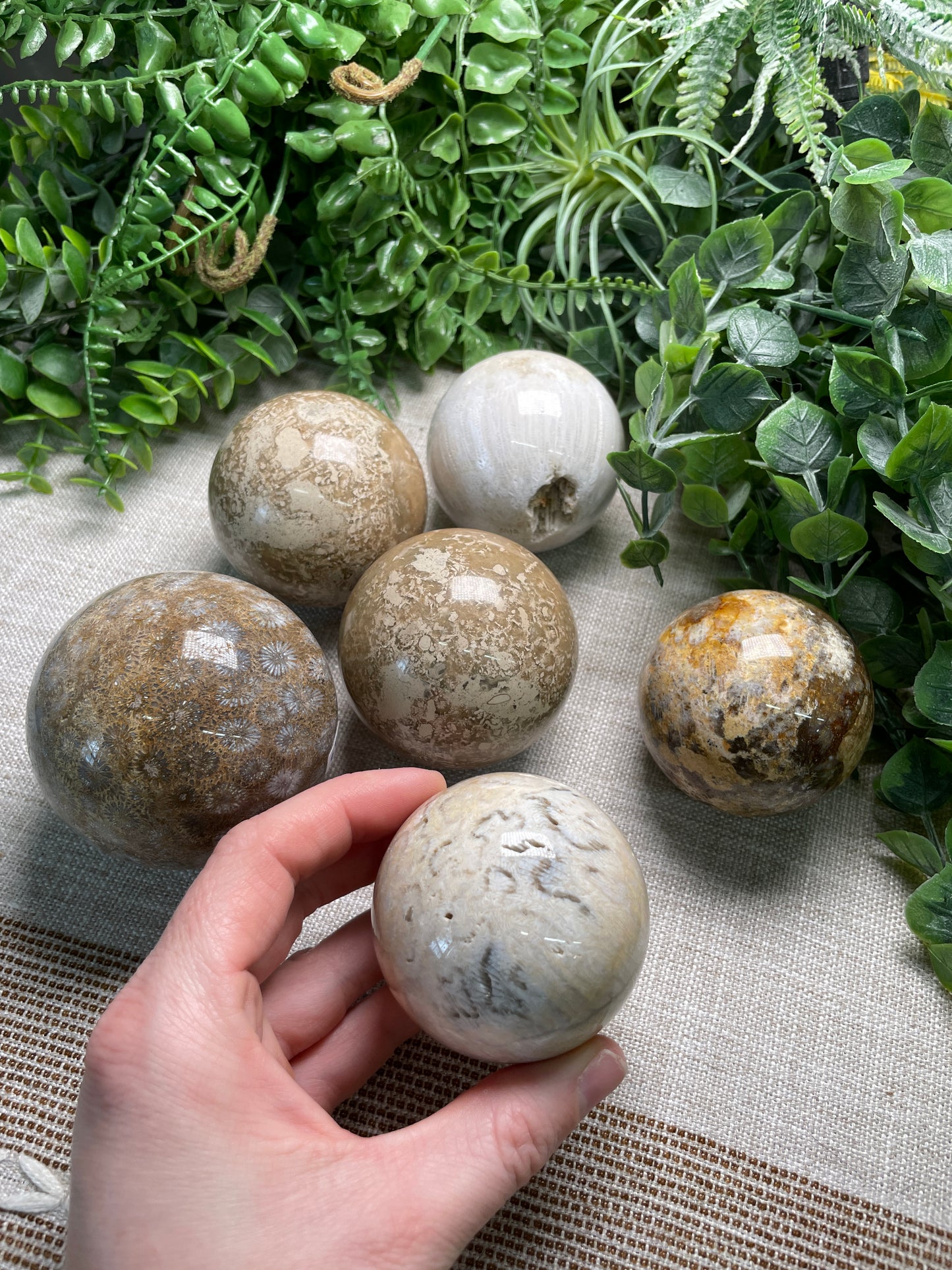 Fossilized Coral Sphere