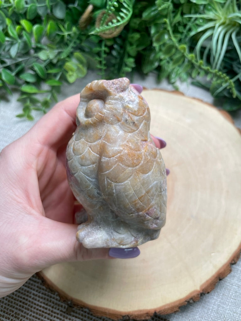 Jasper Owl (chipped)