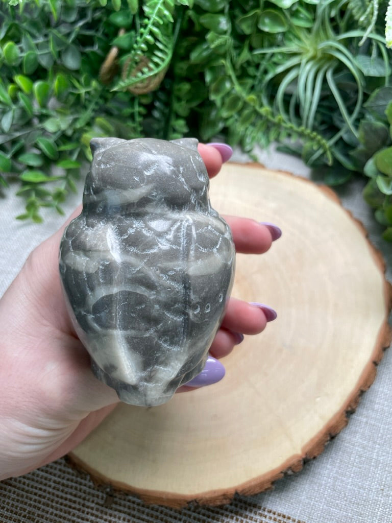 Shell Jasper Owl (chipped)