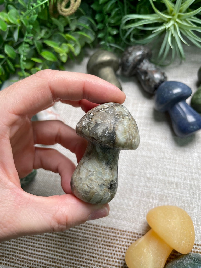 Crystal Mushroom