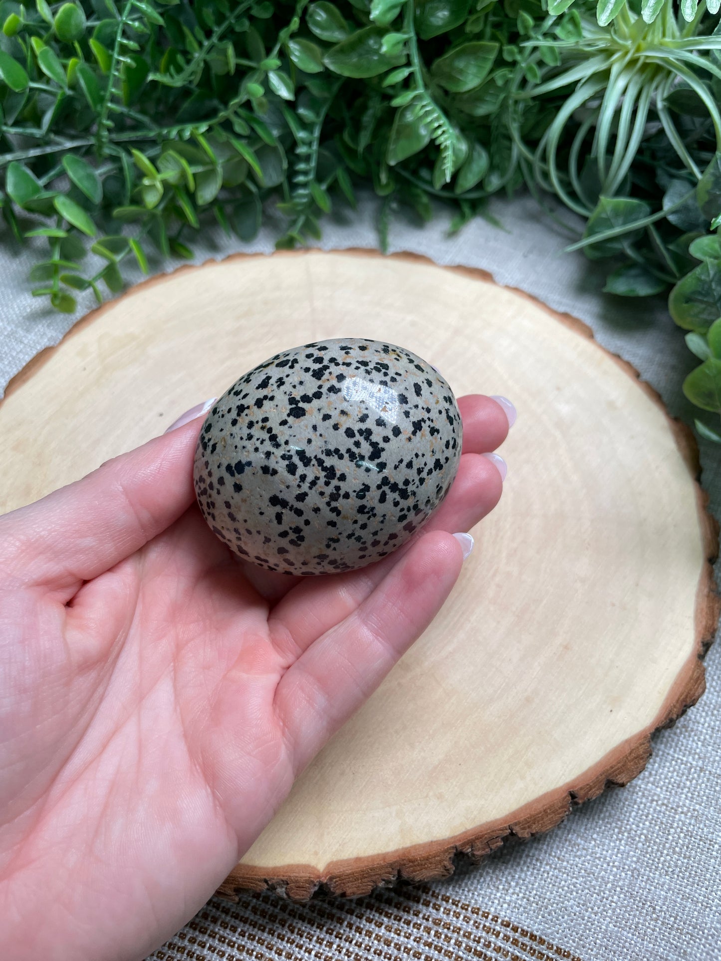 Dalmatian Jasper Palm Stone
