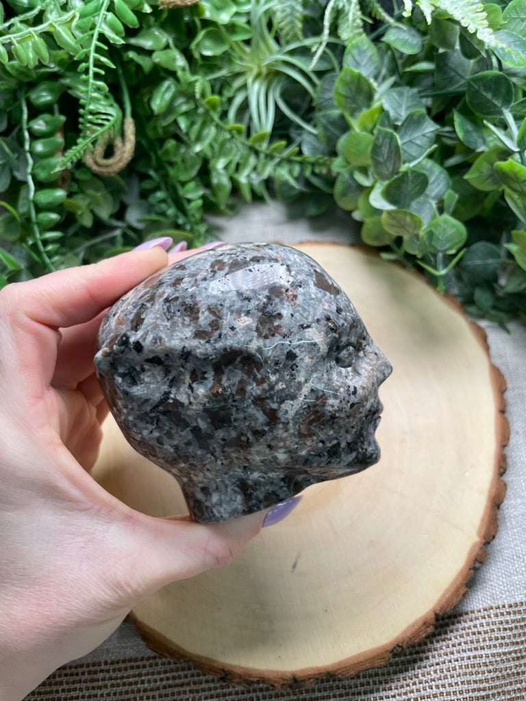 Yooperlite Fae/ Alien Head