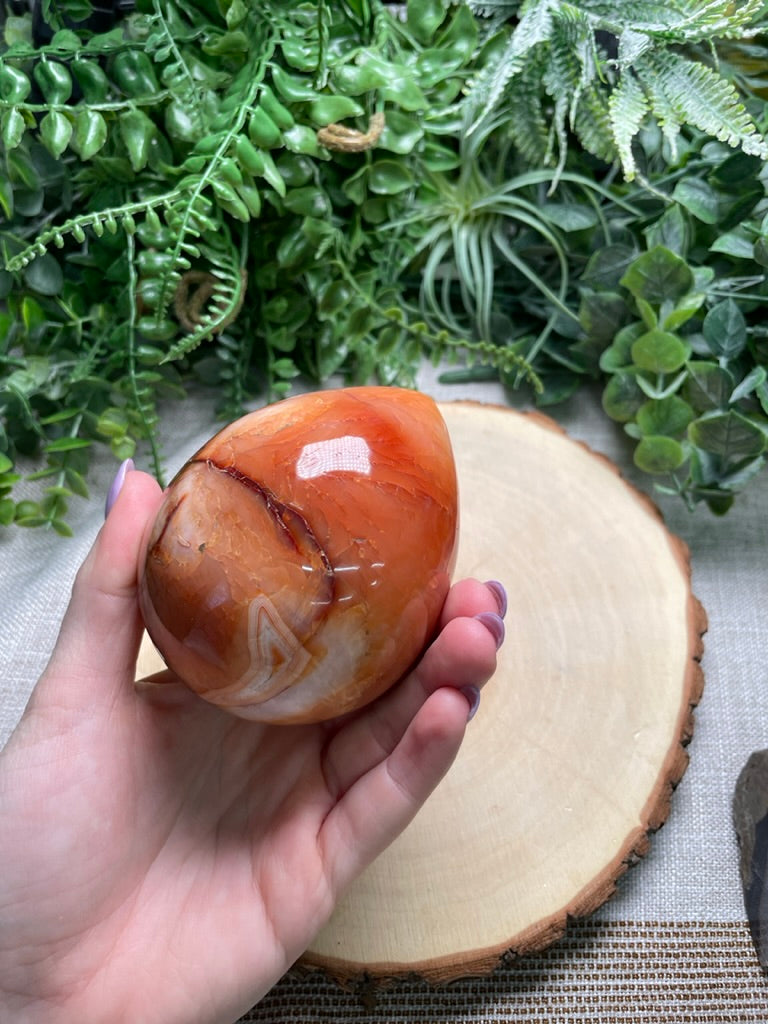 XL Carnelian Egg