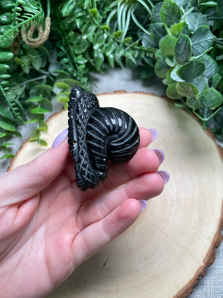 Obsidian Snail (chipped)