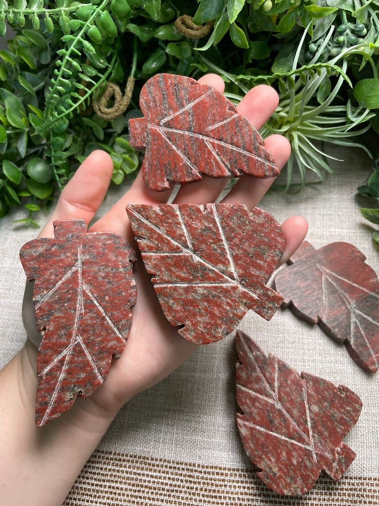 Red Que Sera Leaf