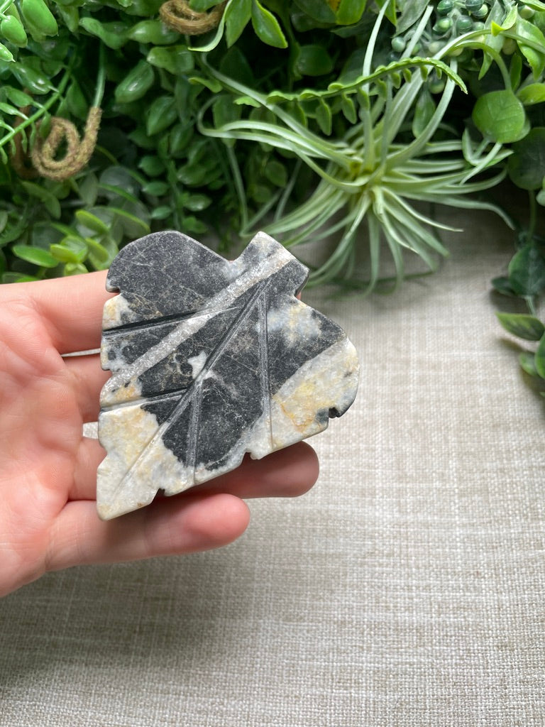 Zebra Jasper Leaf
