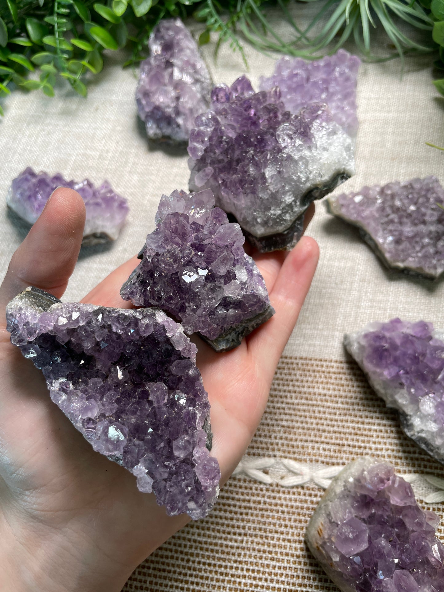 Amethyst Cluster