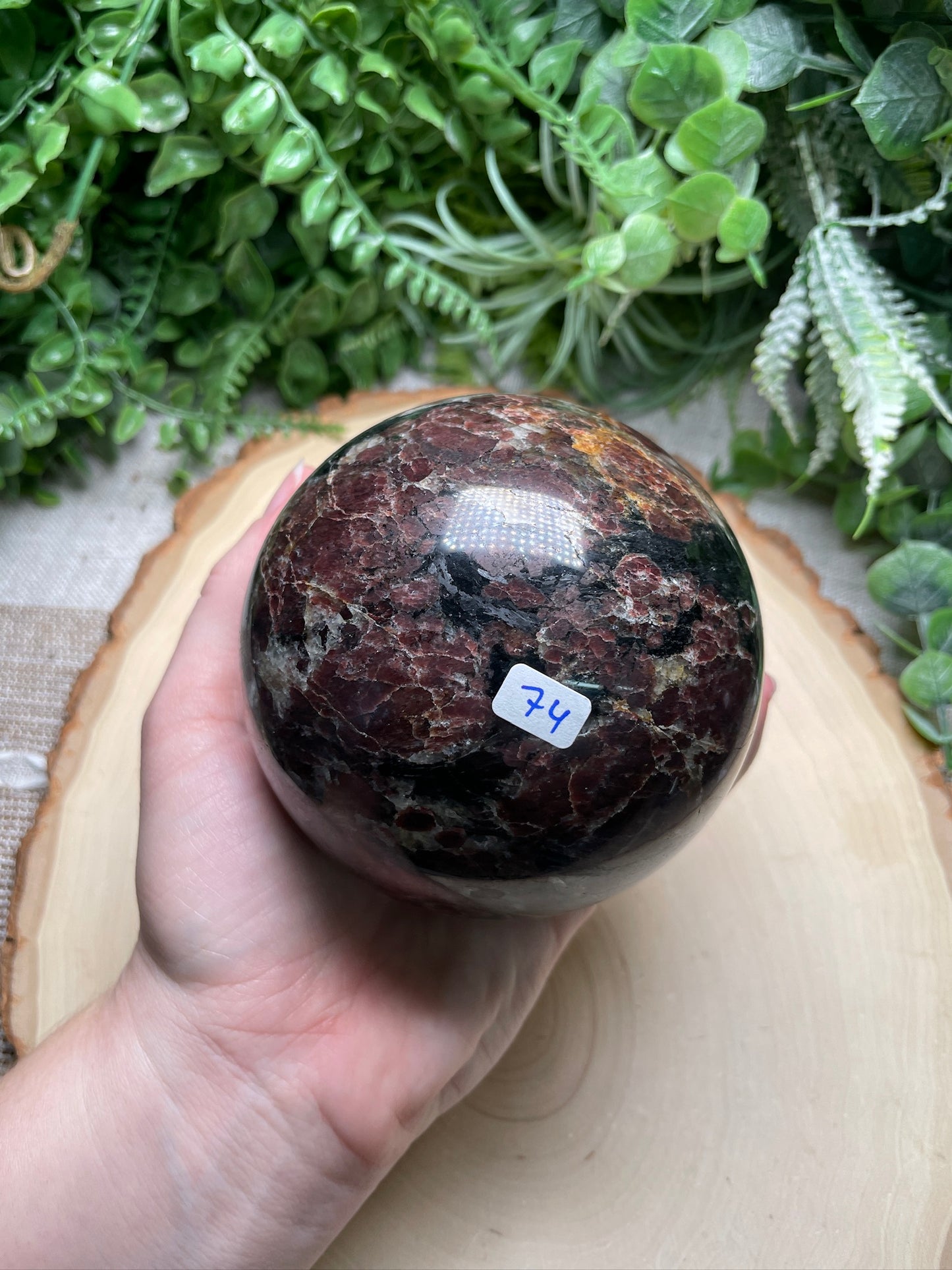 XL Garnet in Astrophyllite Sphere