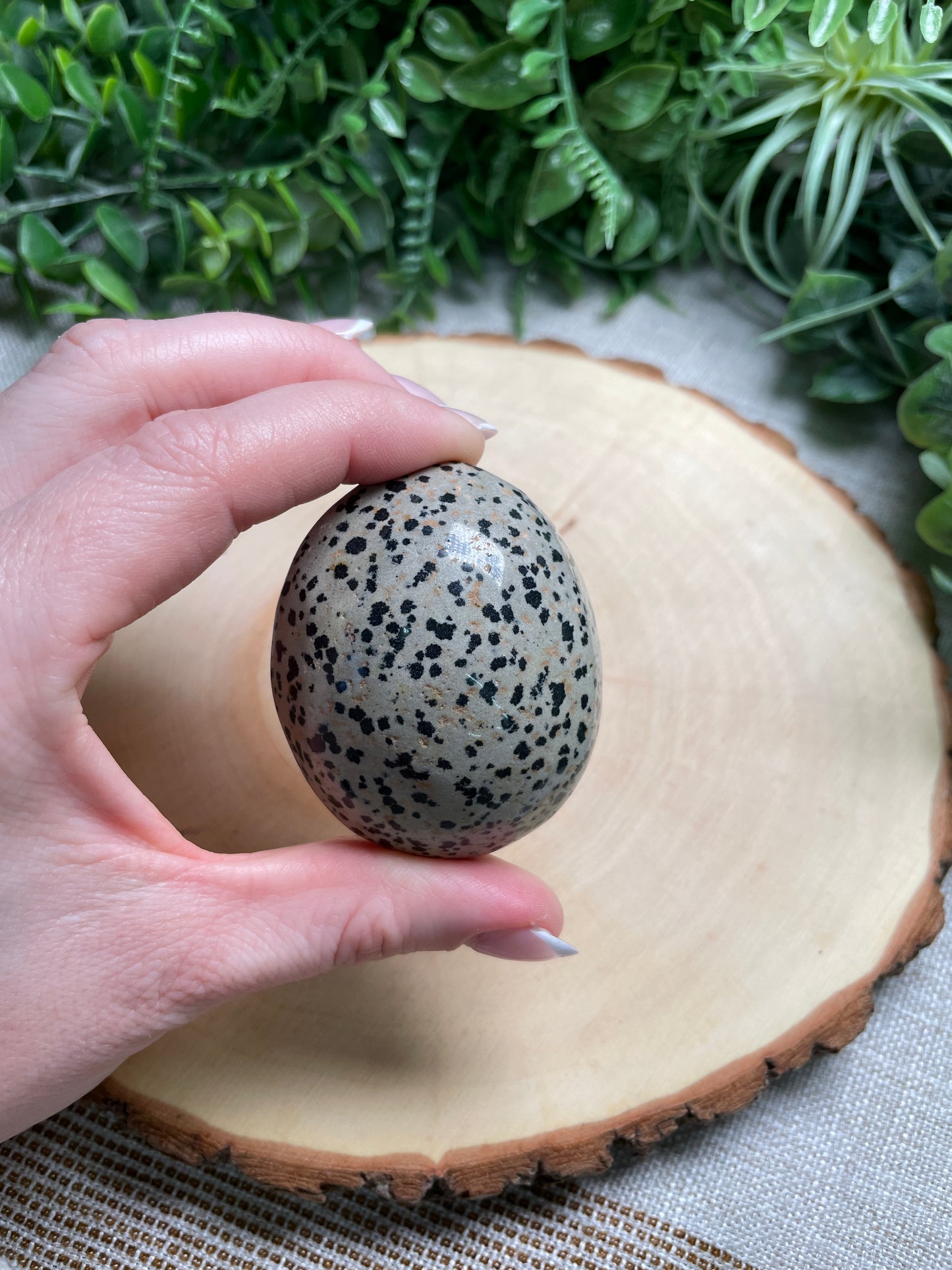 Dalmatian Jasper Palm Stone