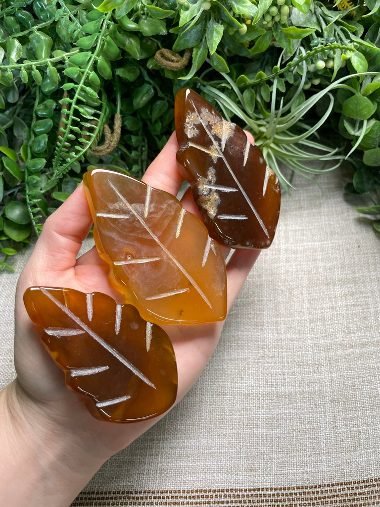 Red Agate Leaf