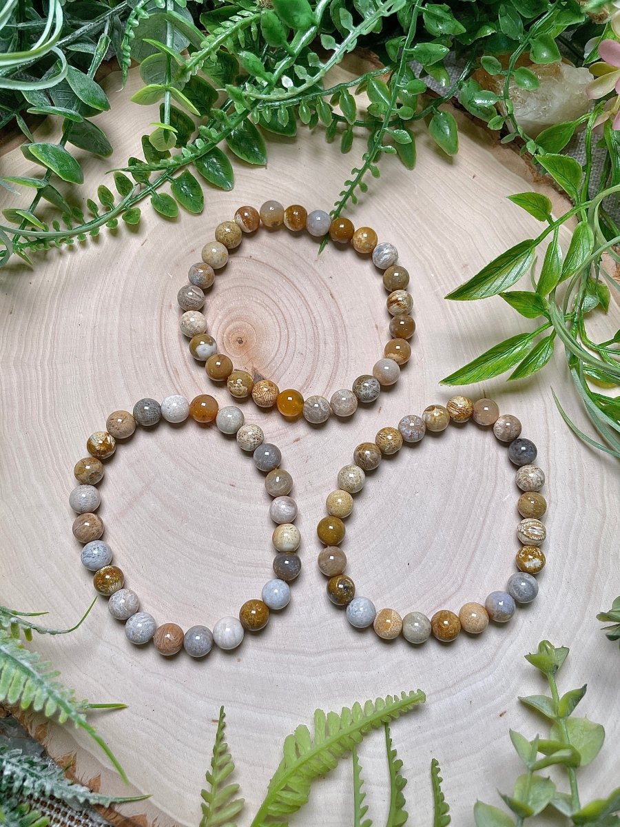 8mm Beaded Fossilized Coral Bracelet | Copper Ashes
