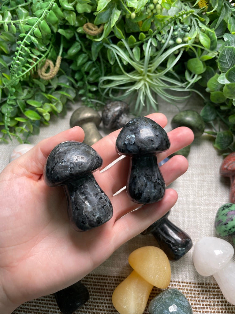 Crystal Mushroom