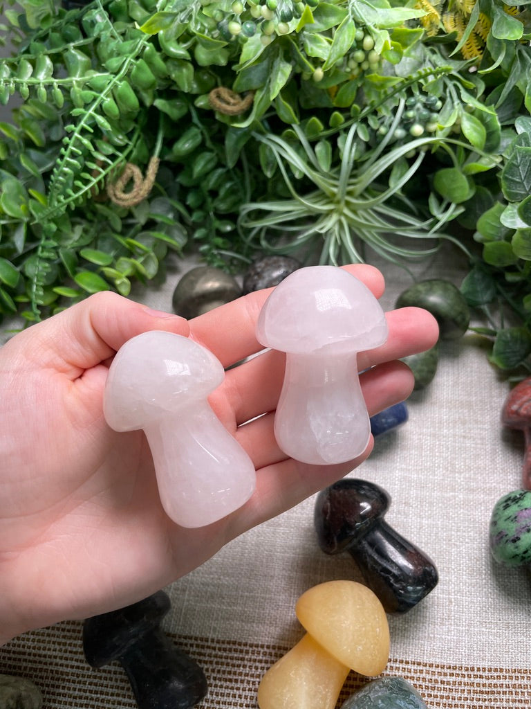 Crystal Mushroom