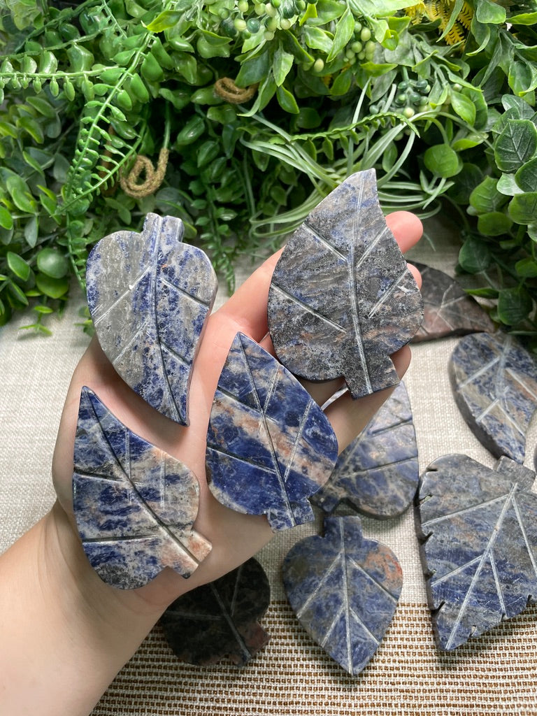 Sodalite Leaf
