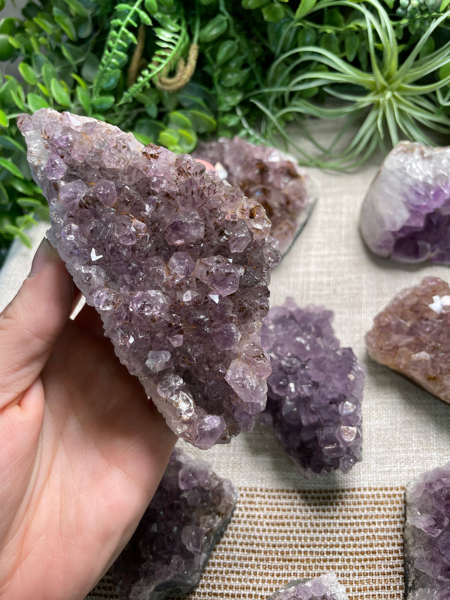Amethyst Cluster