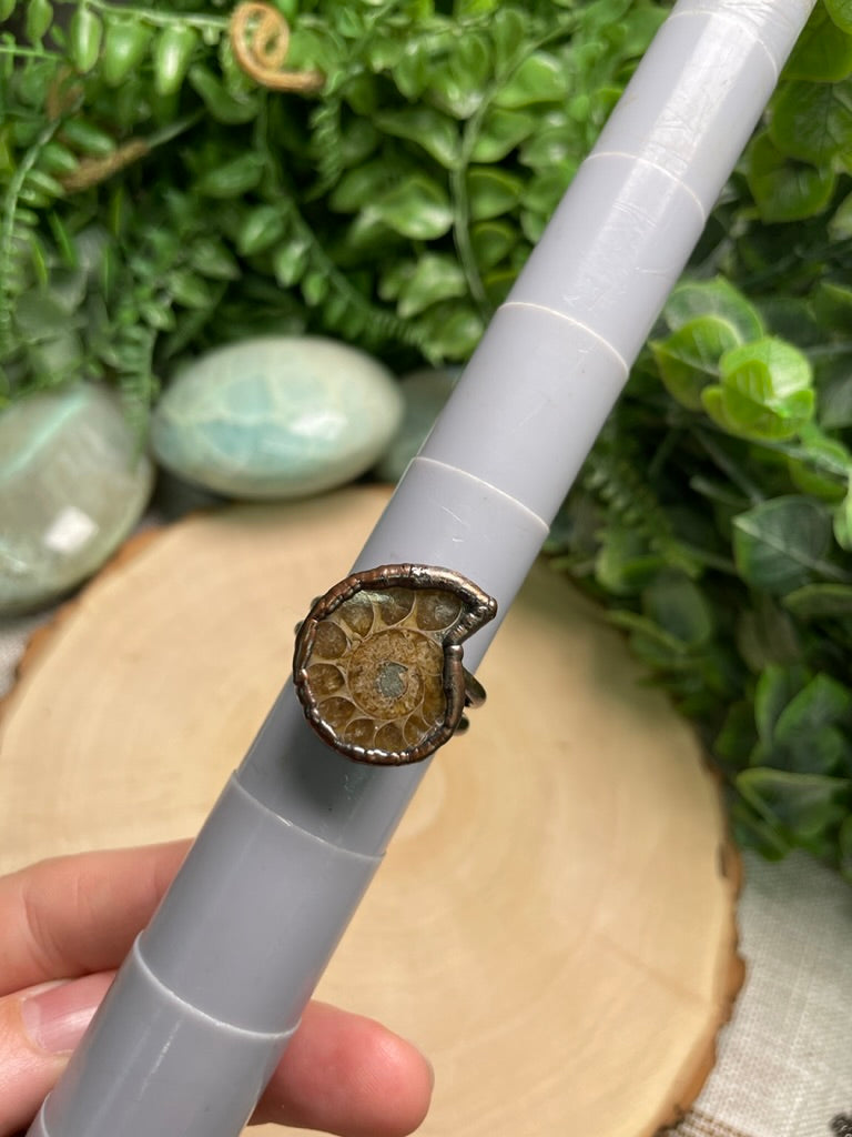Ammonite Fossil Ring Size 11