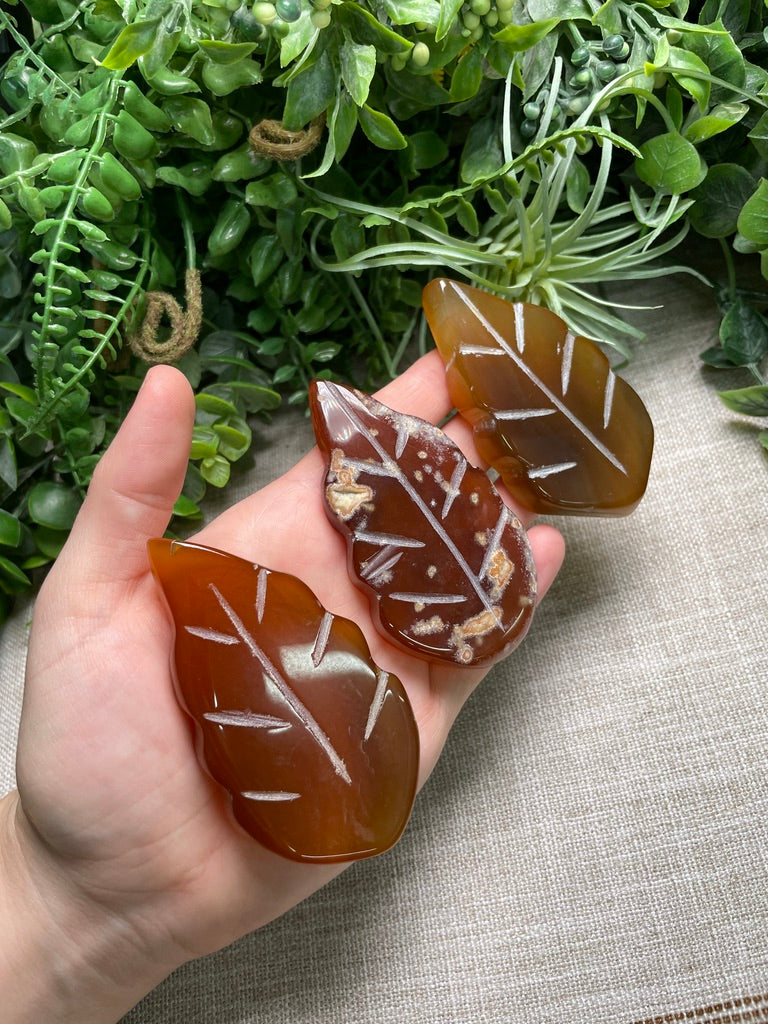 Red Agate Leaf