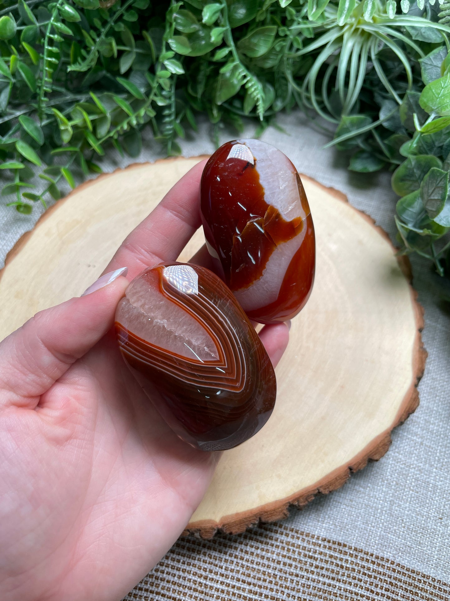 Red Agate Palm Stone