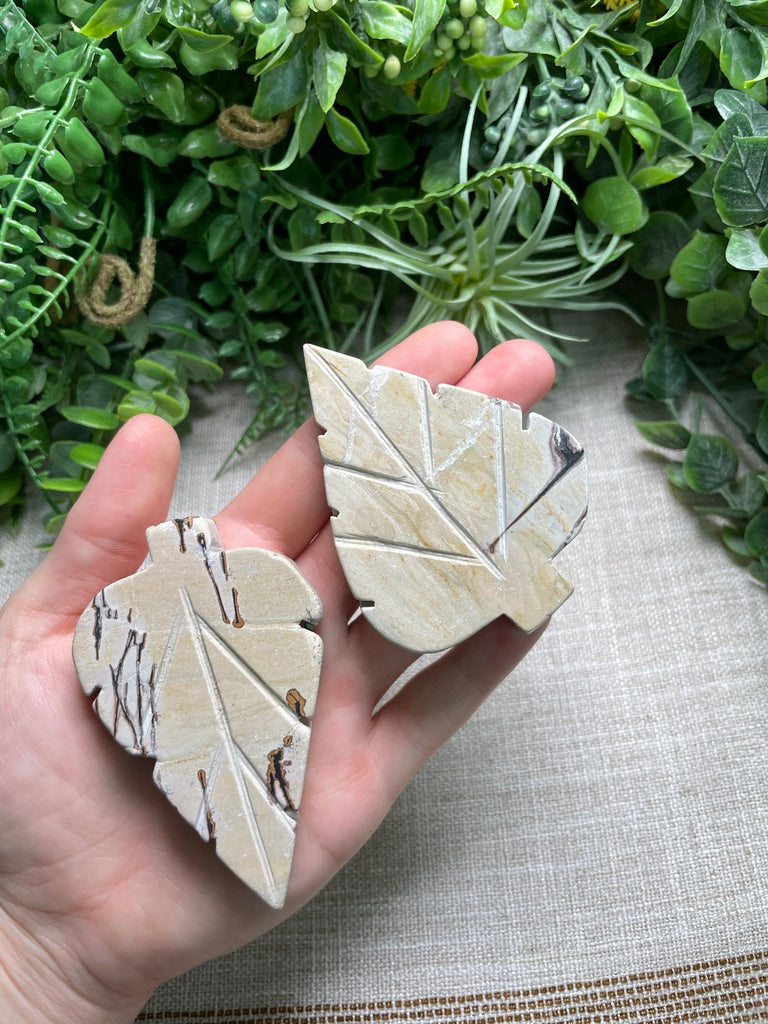 Picture Jasper Leaf