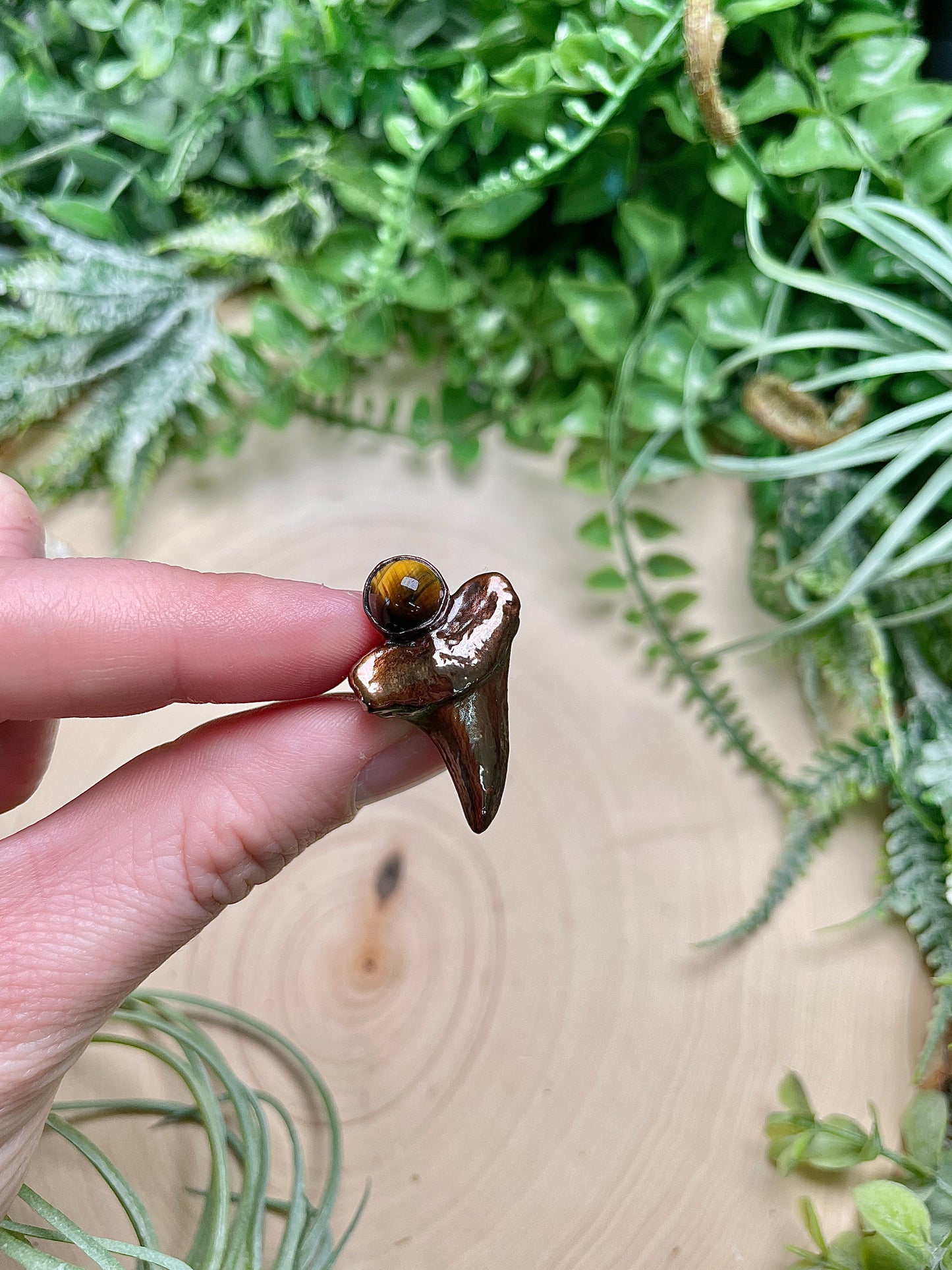 Shark's Tooth and Tigers Eye Ring Size 3