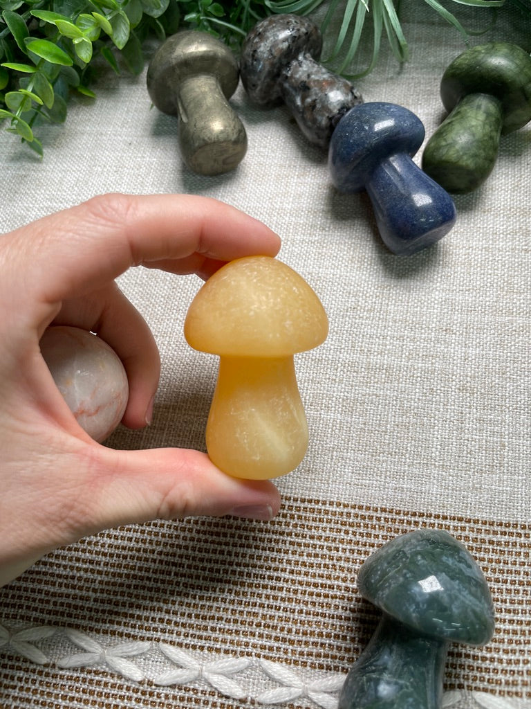 Crystal Mushroom