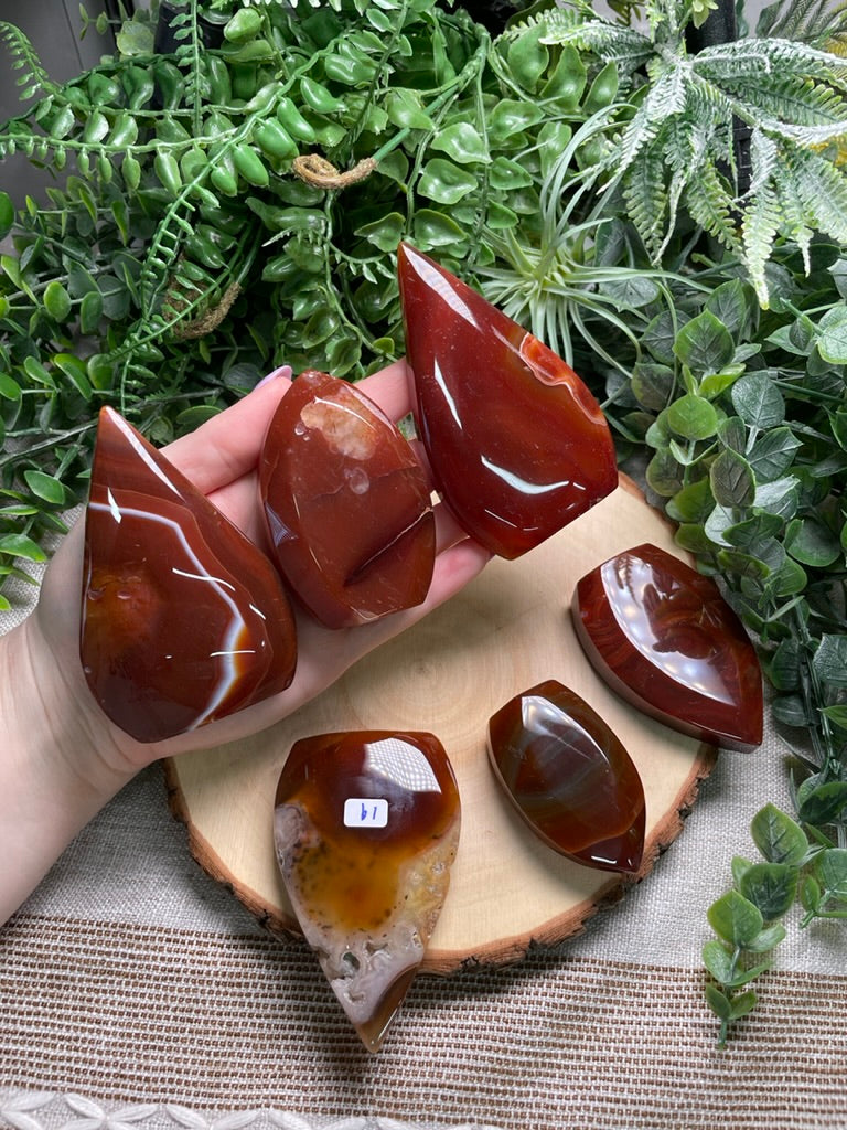 Red Agate Freeform