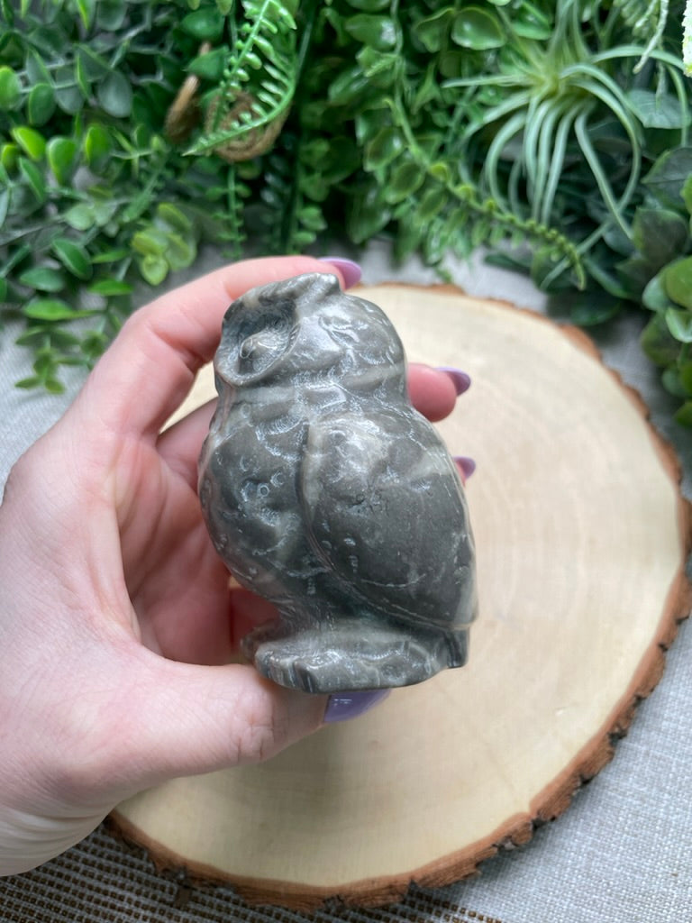 Shell Jasper Owl (chipped)