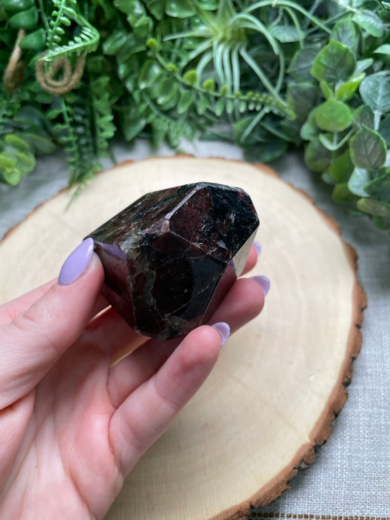 Garnet in Astrophyllite Freeform