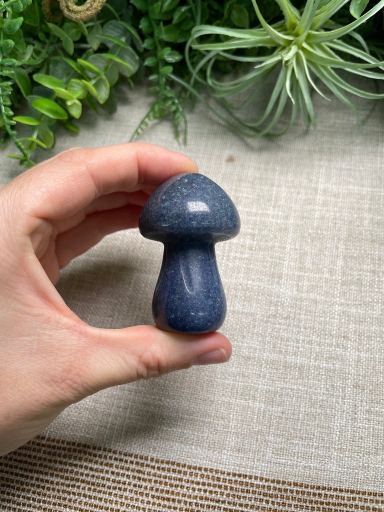 Crystal Mushroom