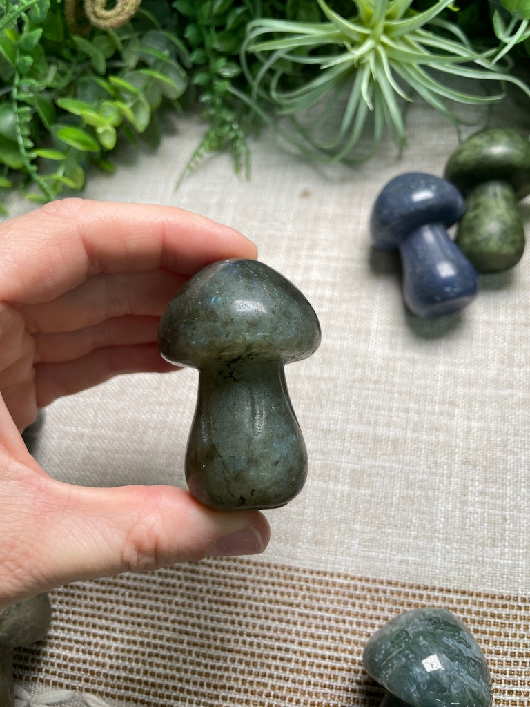 Crystal Mushroom