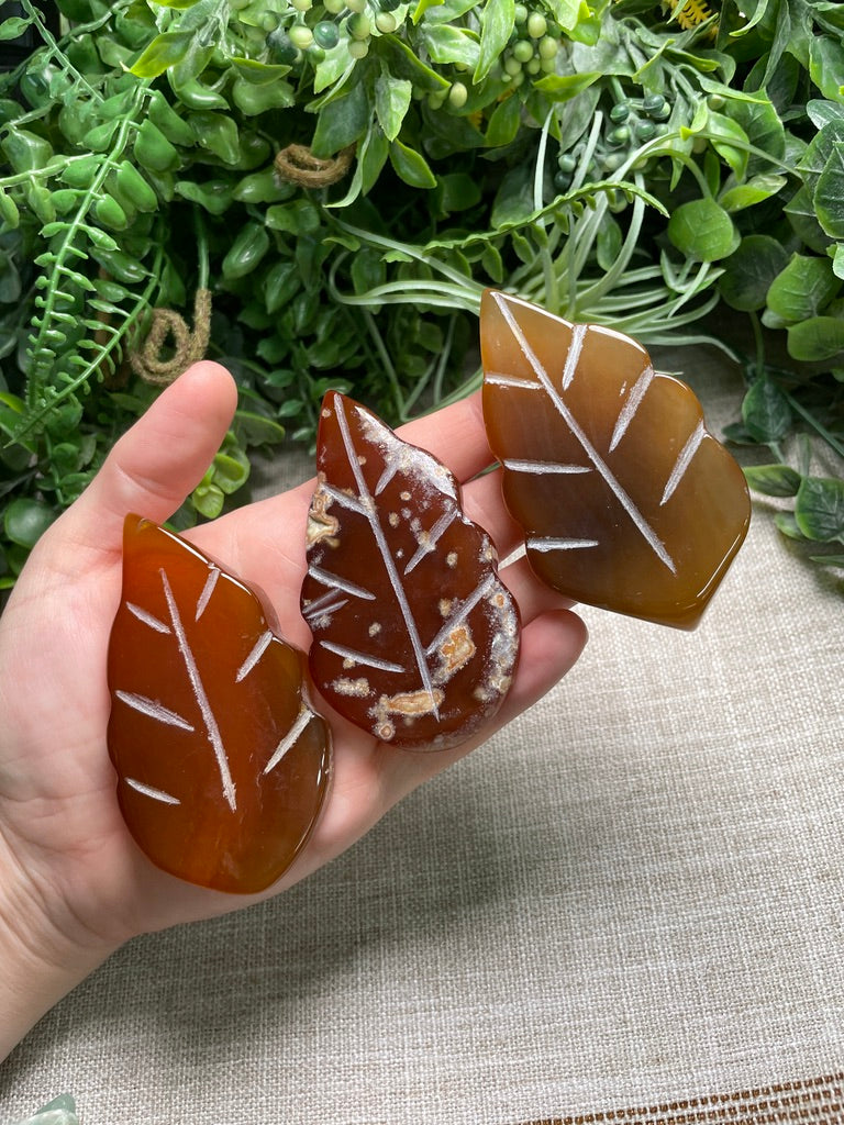Red Agate Leaf