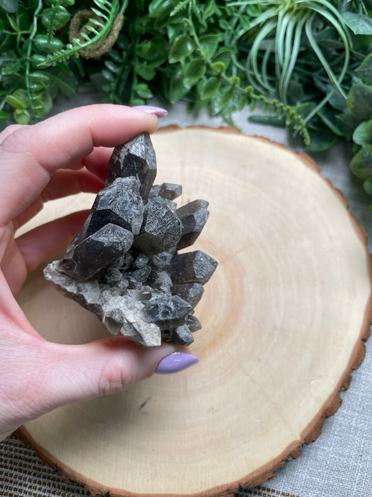 Smoky Quartz Cluster