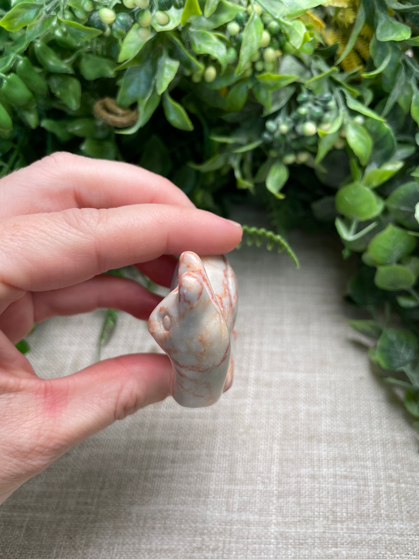 Red Vein Jasper Cat Snail