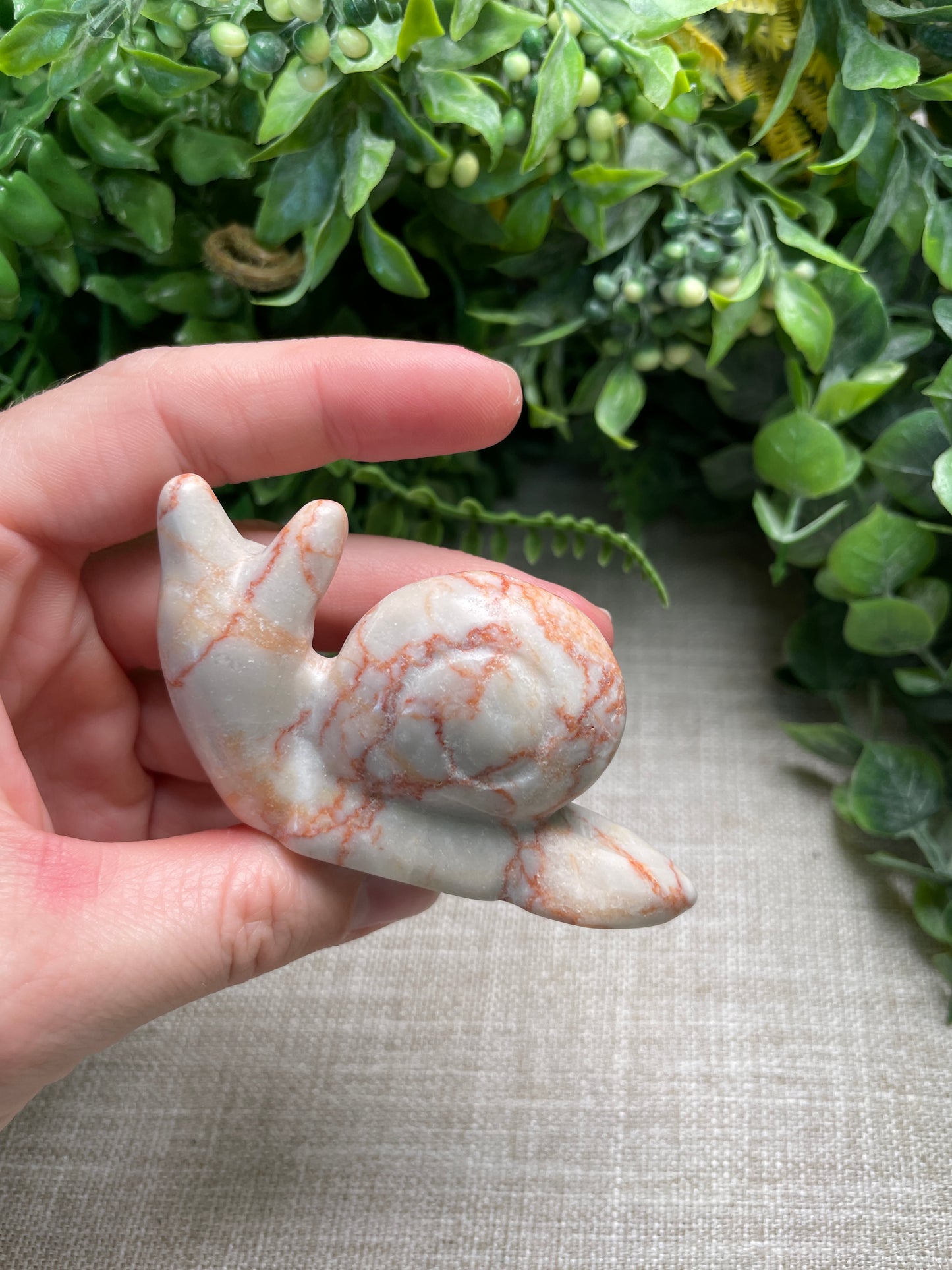 Red Vein Jasper Cat Snail