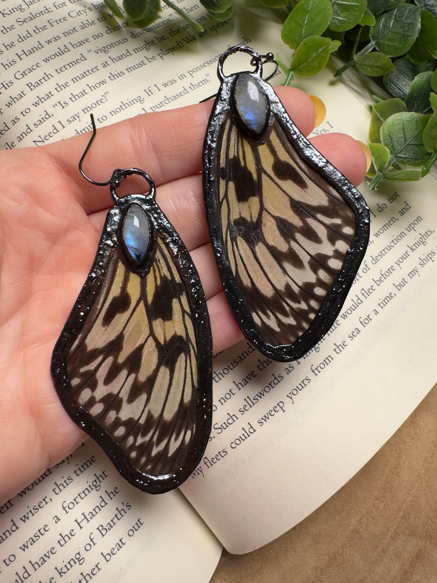 Butterfly Wing and Moonstone Earrings