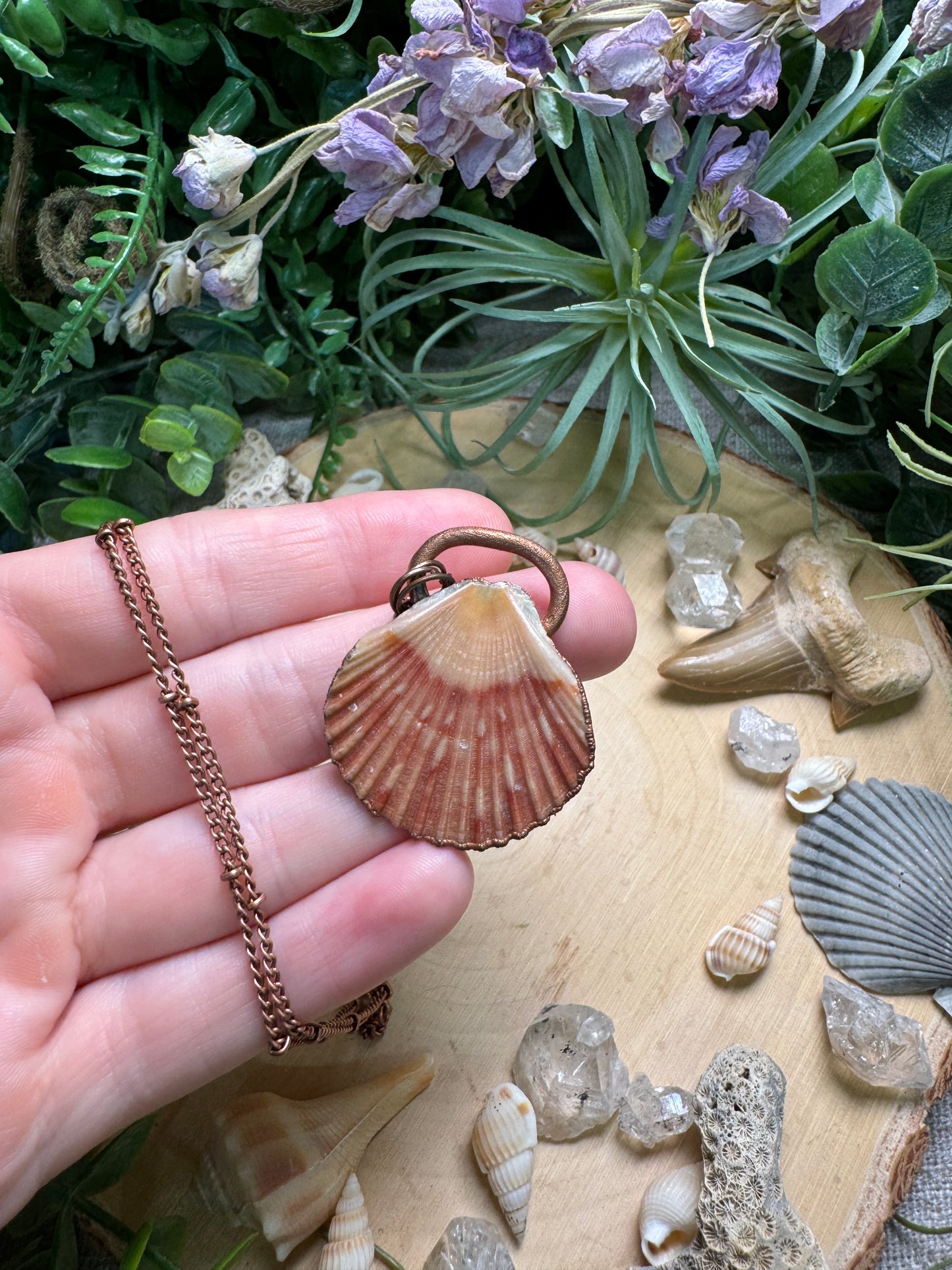 Scallop Shell Necklace