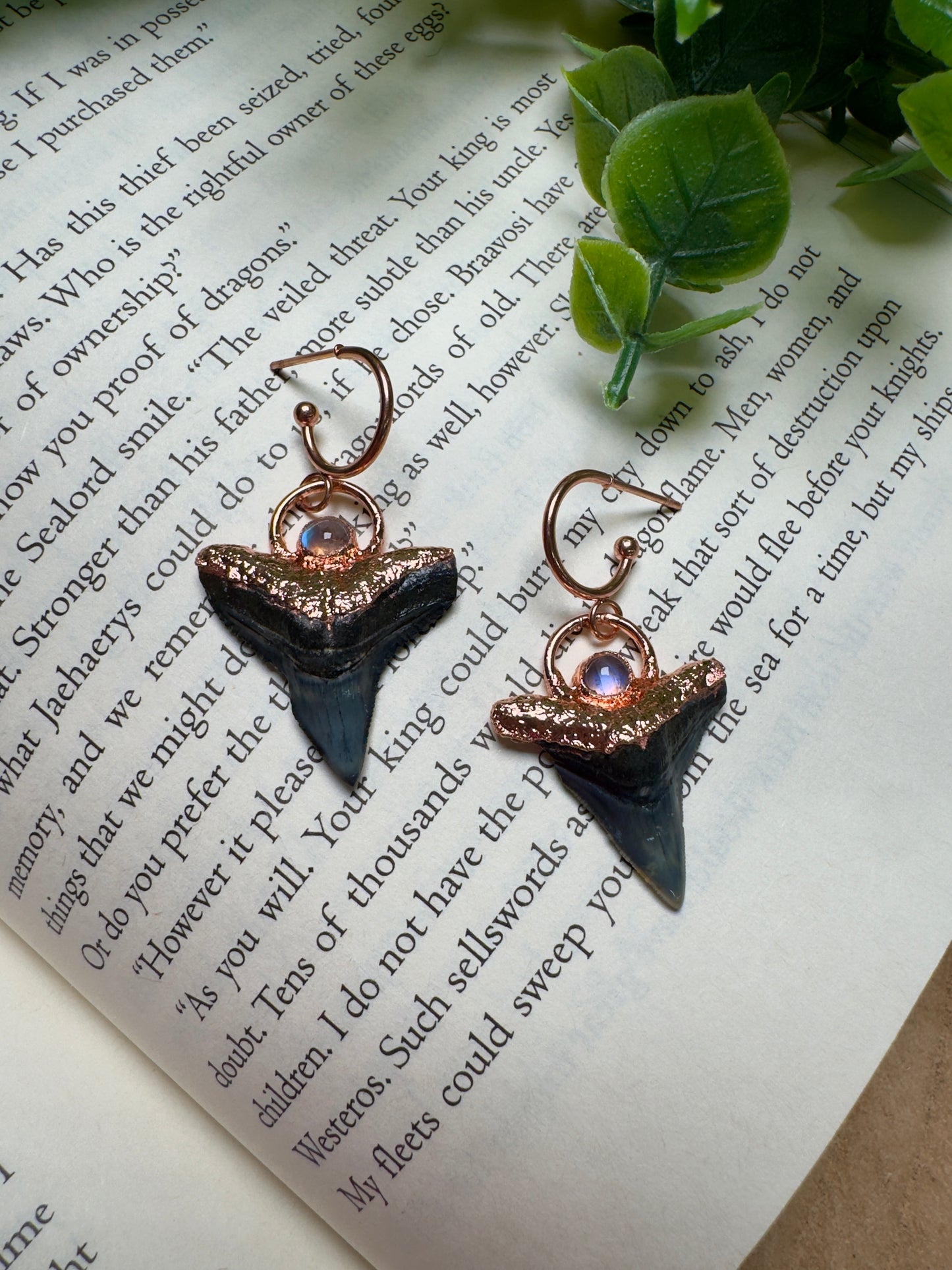 Sharks Teeth and Moonstone Earrings