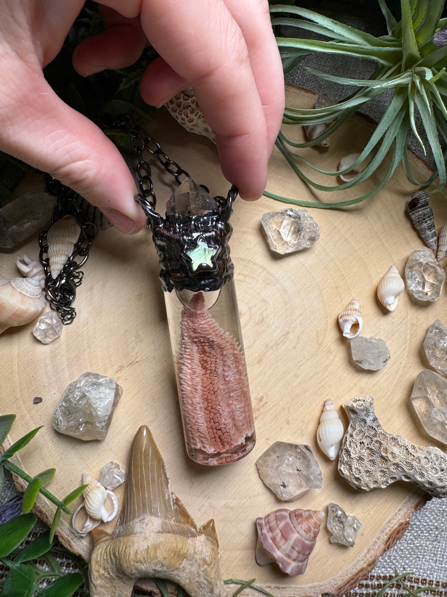 Quartz, Labradorite, and Starfish Arm Oddity Vial Necklace