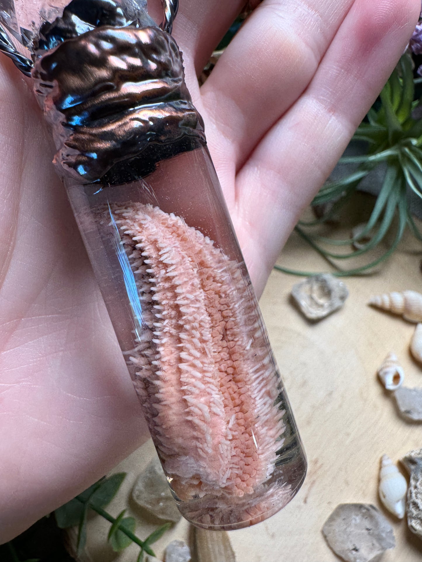 Quartz and Starfish Arm Oddity Vial Necklace