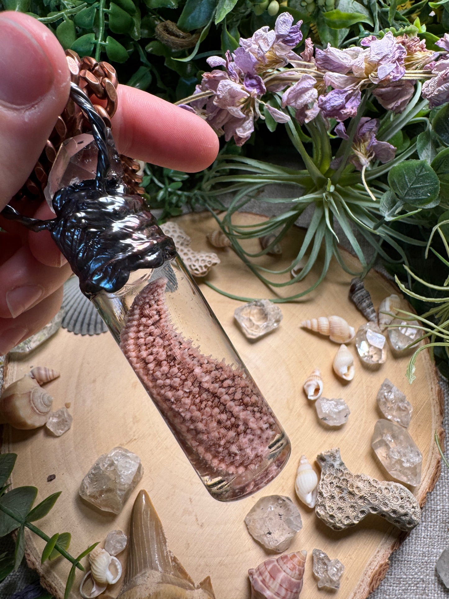 Quartz and Starfish Arm Oddity Vial Necklace