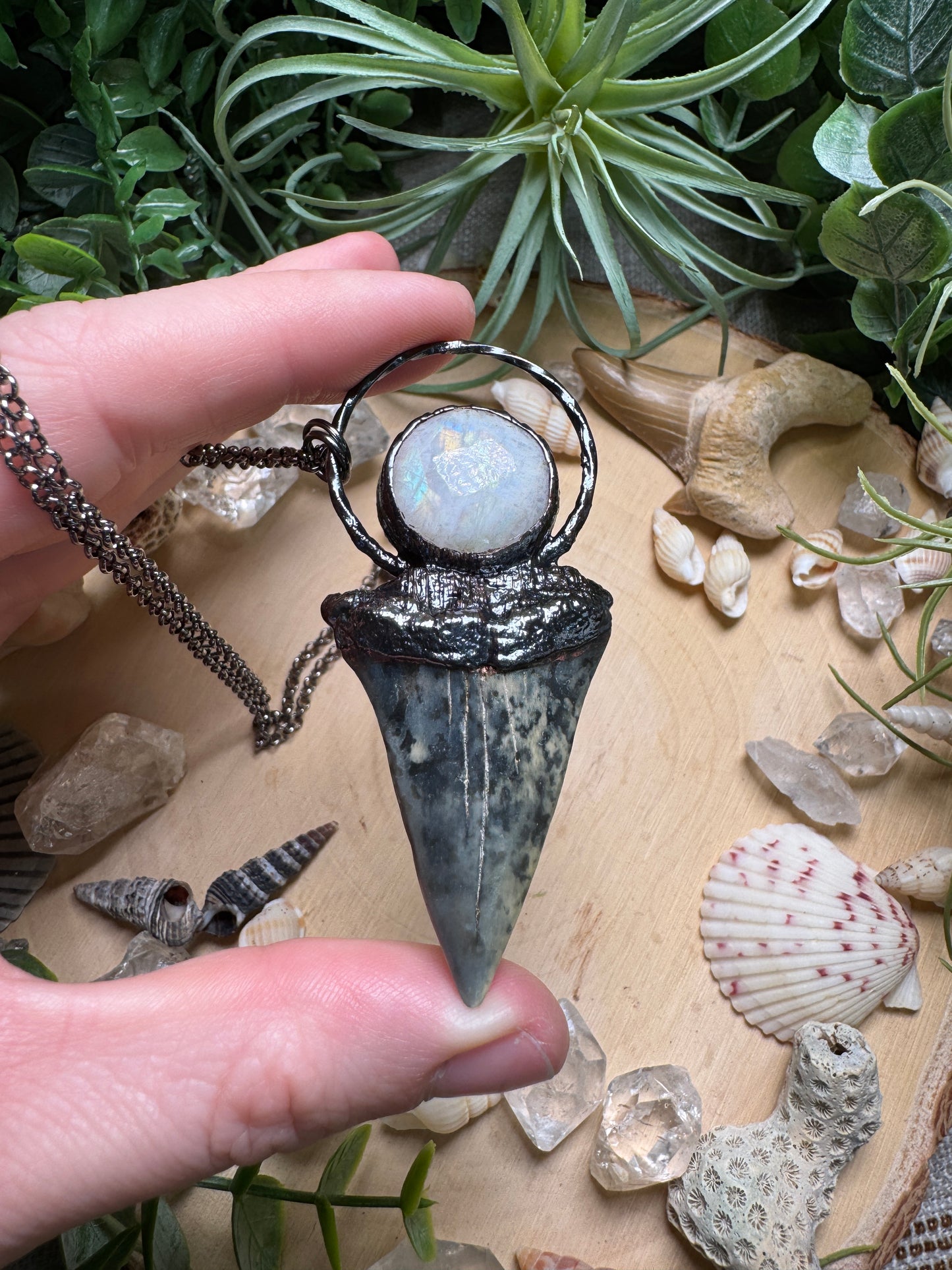 Moonstone and Shark's Tooth Necklace