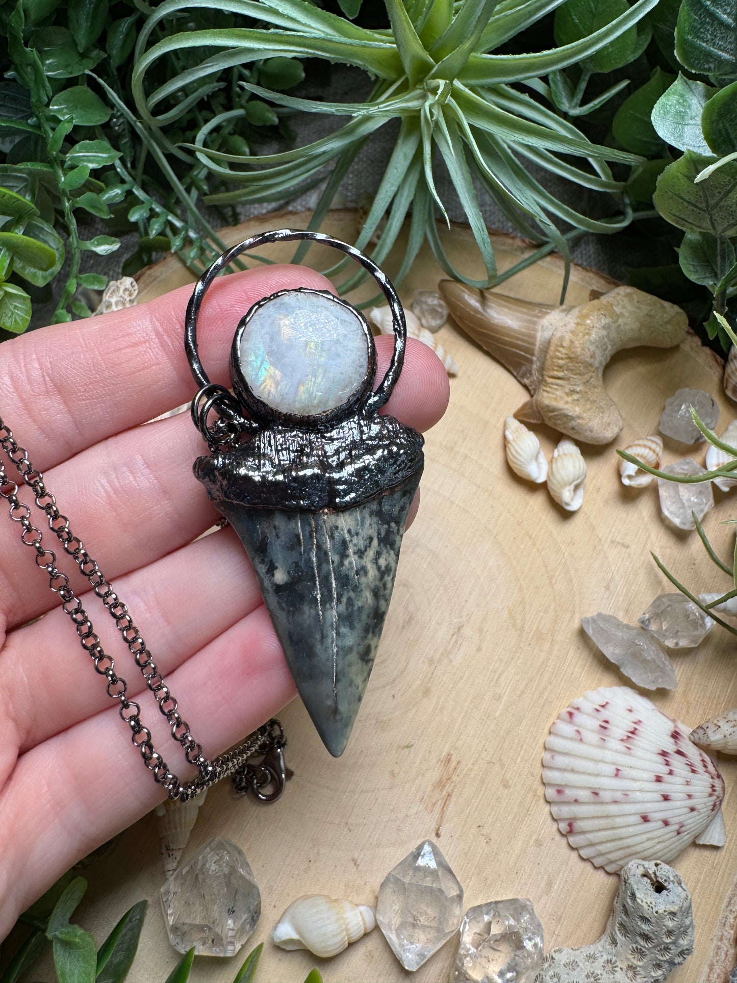 Moonstone and Shark's Tooth Necklace