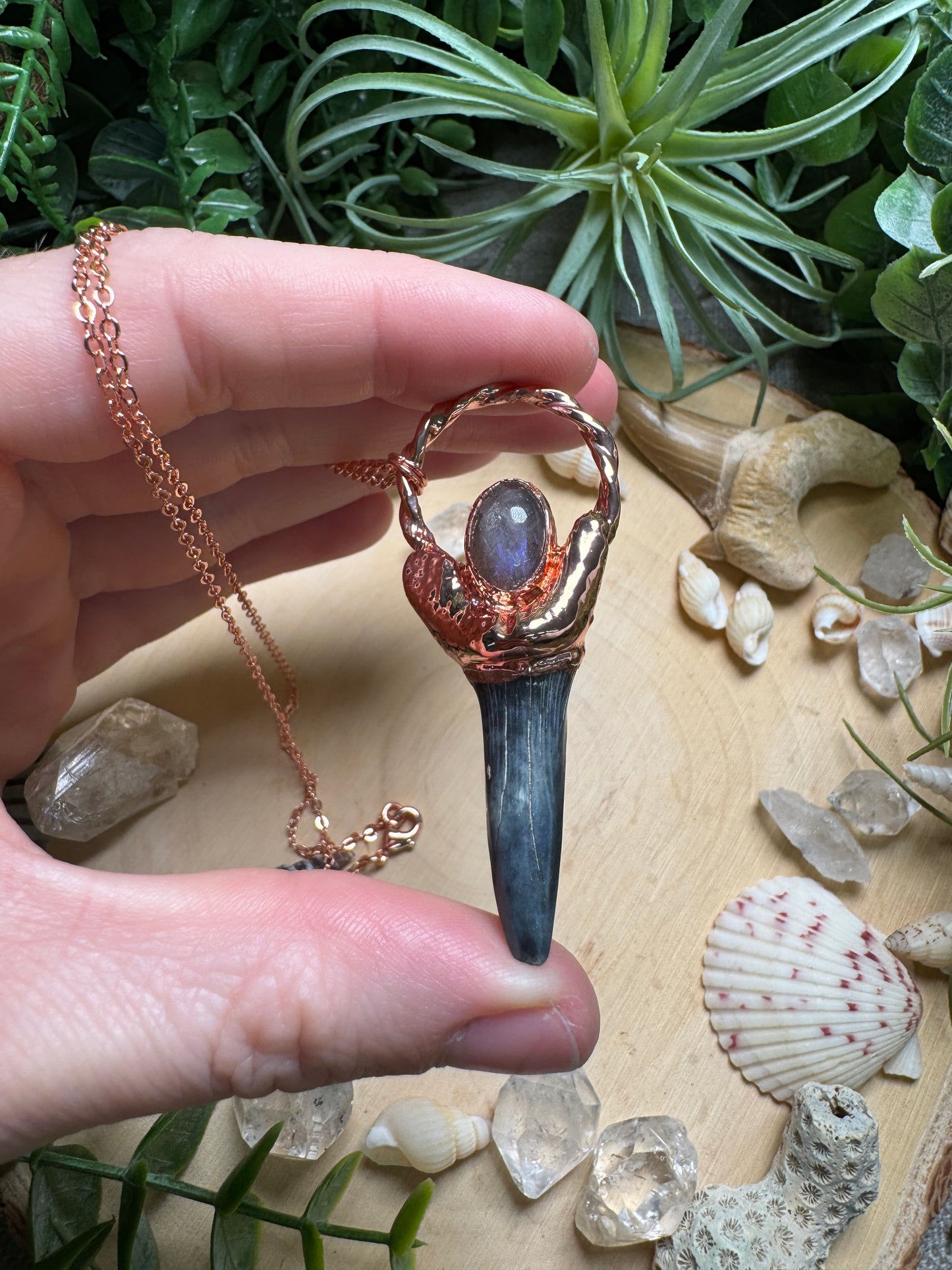 Labradorite and Shark's Tooth Necklace