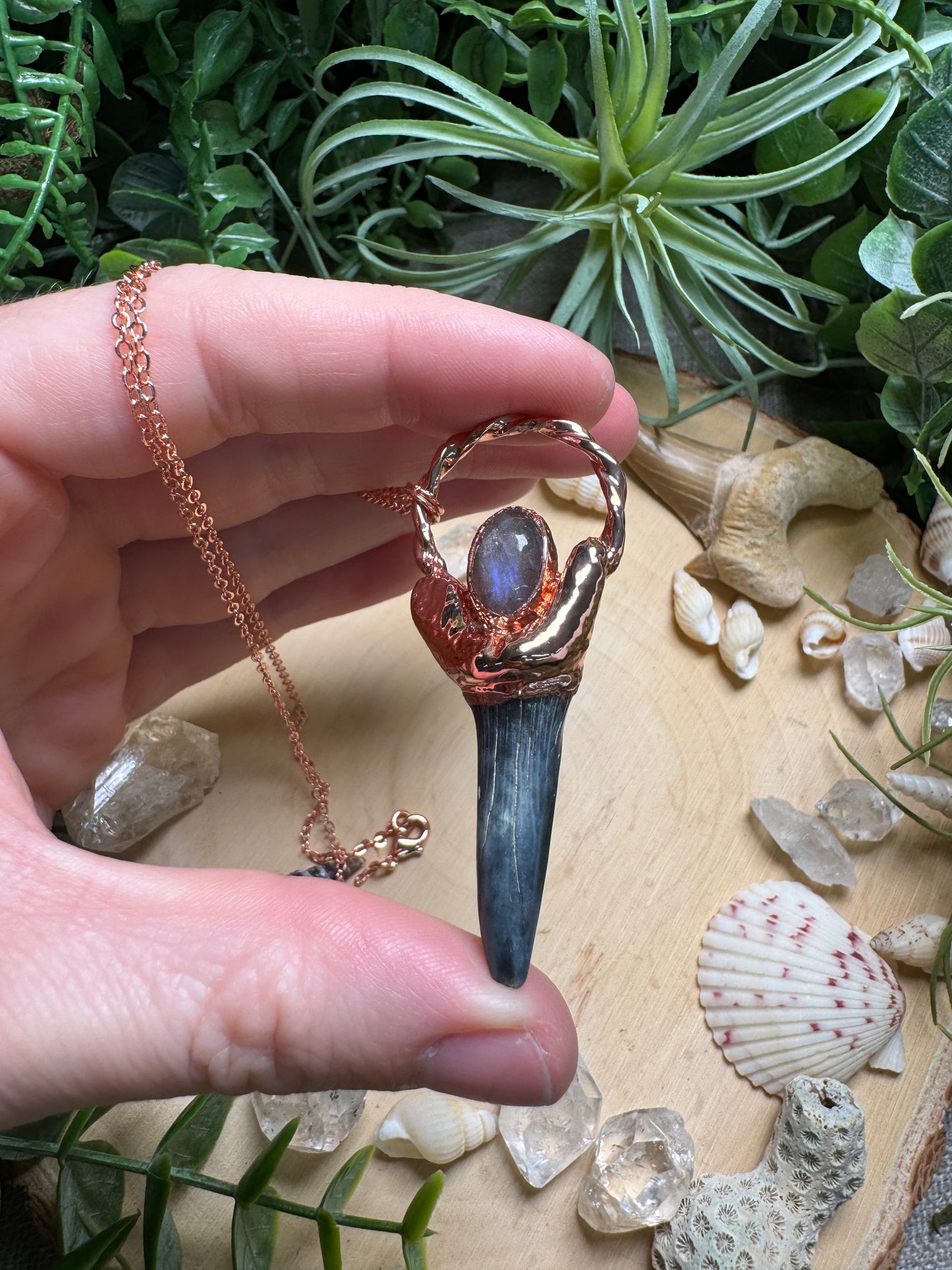 Labradorite and Shark's Tooth Necklace