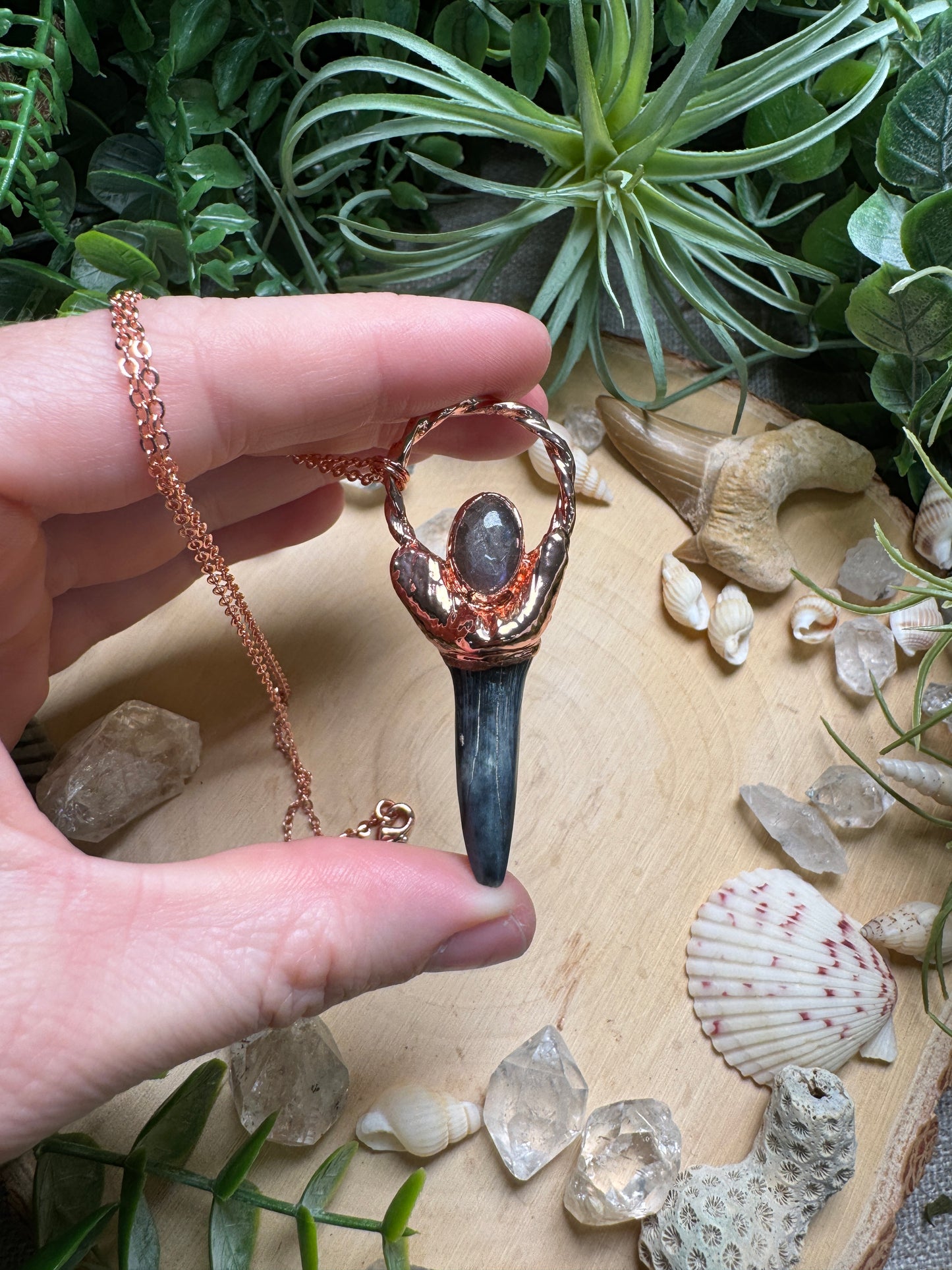 Labradorite and Shark's Tooth Necklace